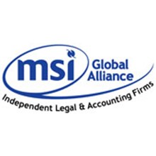 MSI Global Alliance Logo 
