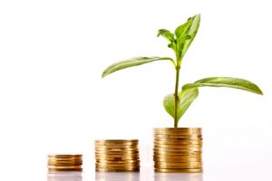 Coins and green plant isolated on white