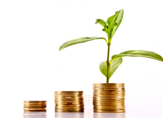 Coins and green plant isolated on white