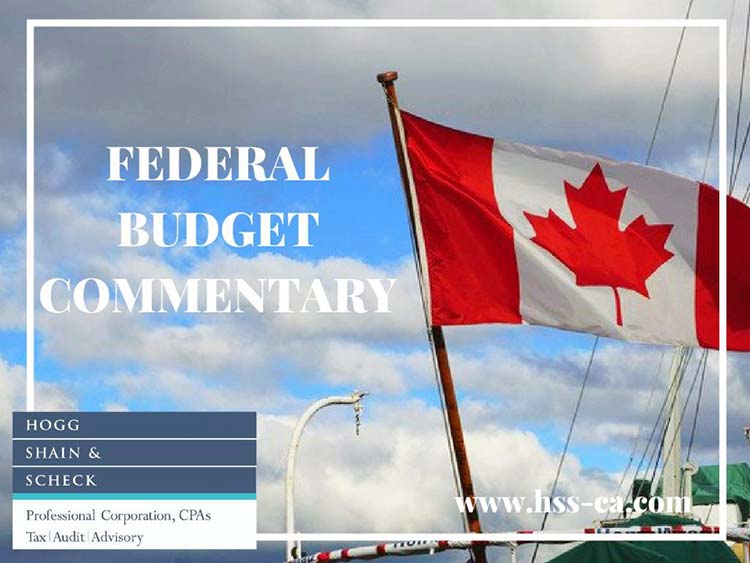 Canadian Federal Budget Comentary - Hogg, Shain and Scheck