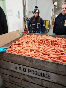 Hogg, Shain & Scheck volunteering at Second Harvest in North York 